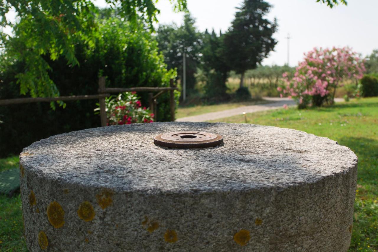 Tenuta Il Corno Agriturismo San Casciano in Val di Pesa Exteriér fotografie